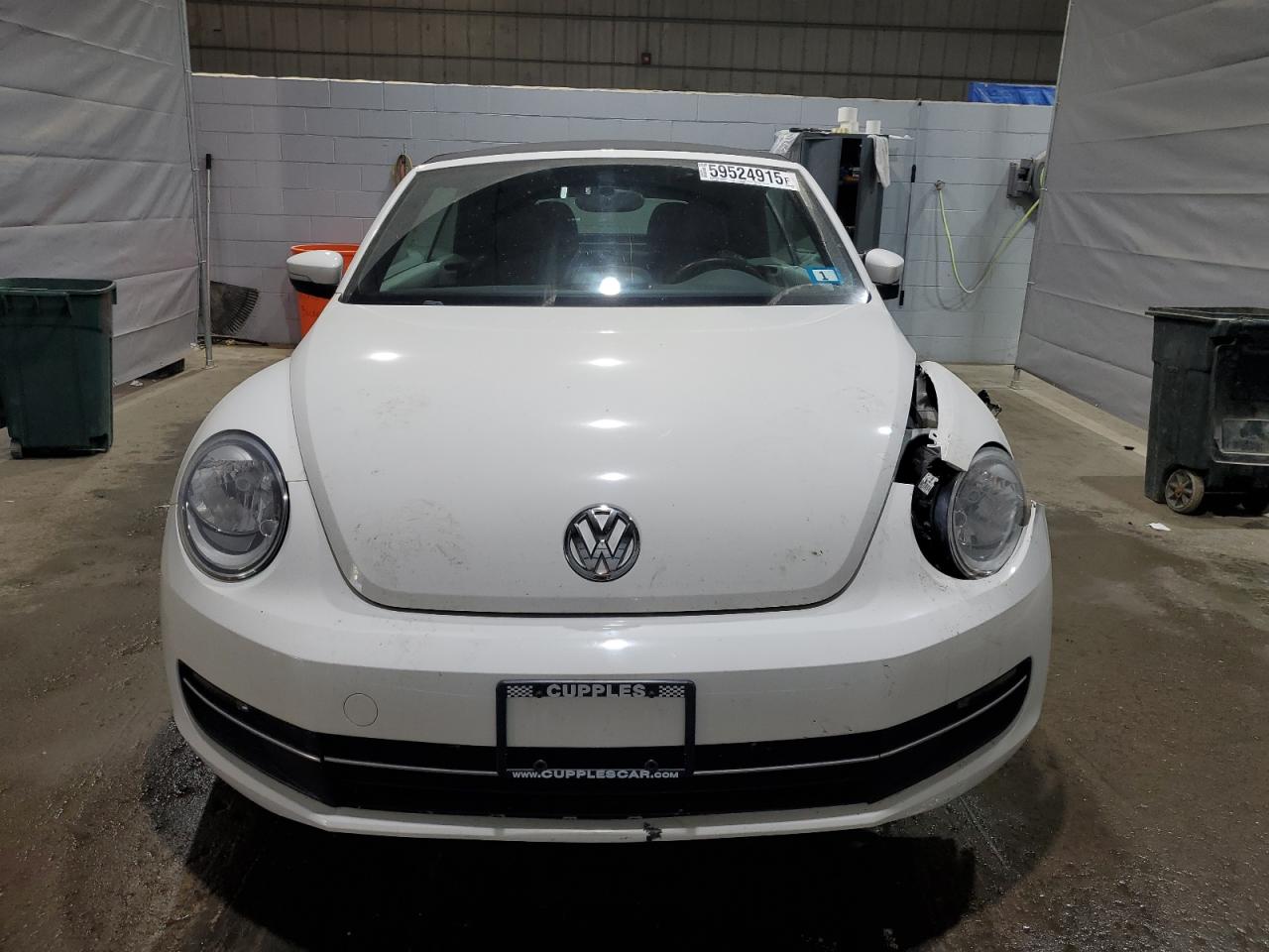 Volkswagen Beetle Image 7