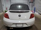 Volkswagen Beetle Image 13