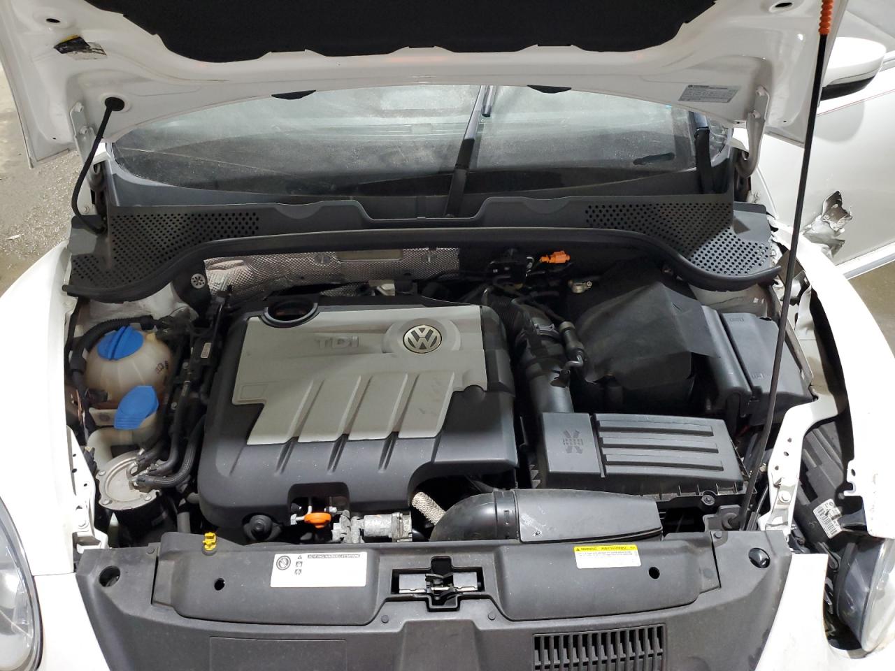 Volkswagen Beetle Image 2