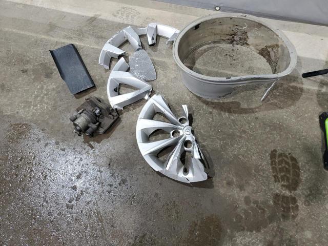 Volkswagen Beetle Image 10