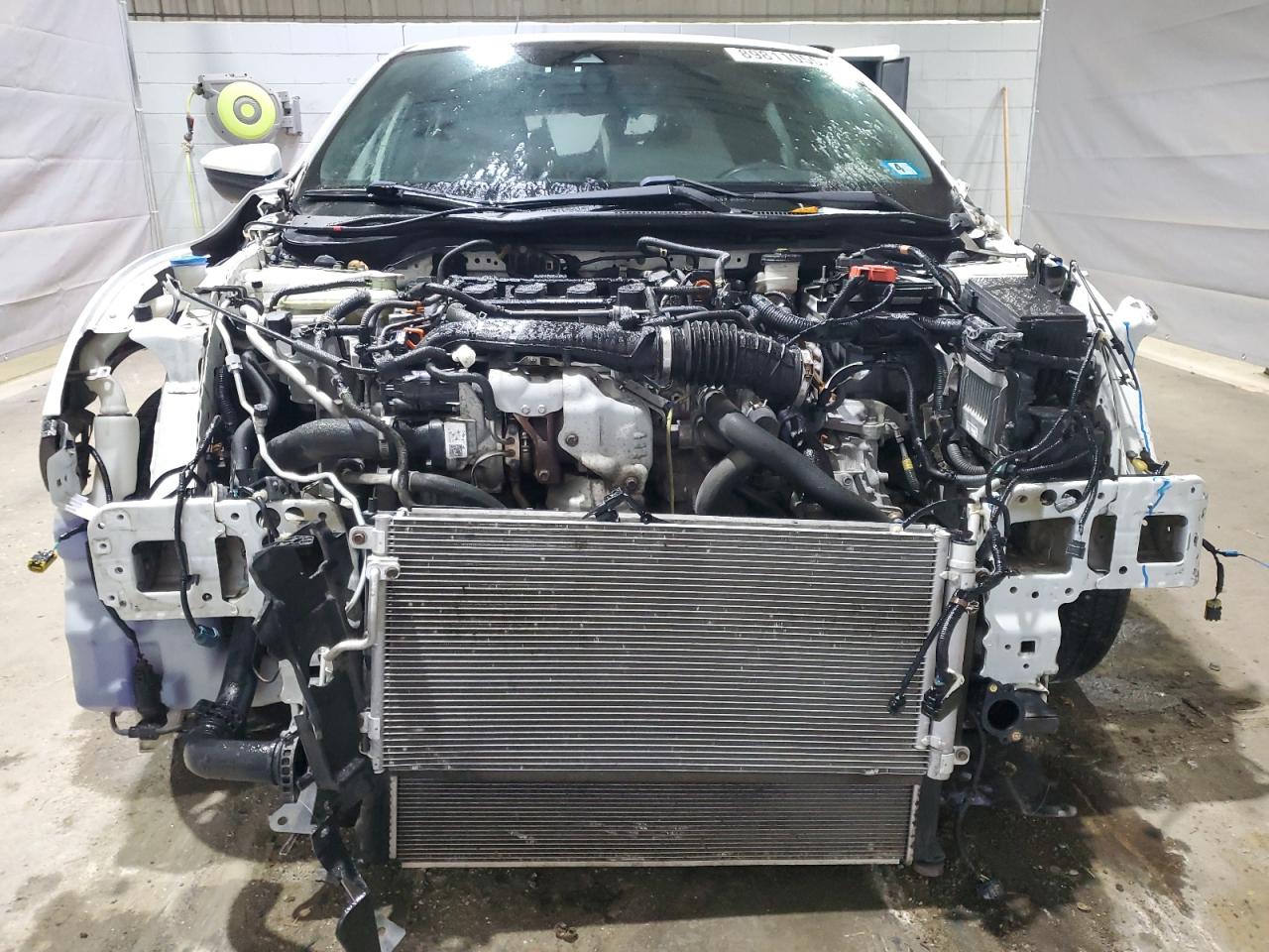 Honda Civic Lx Image 8