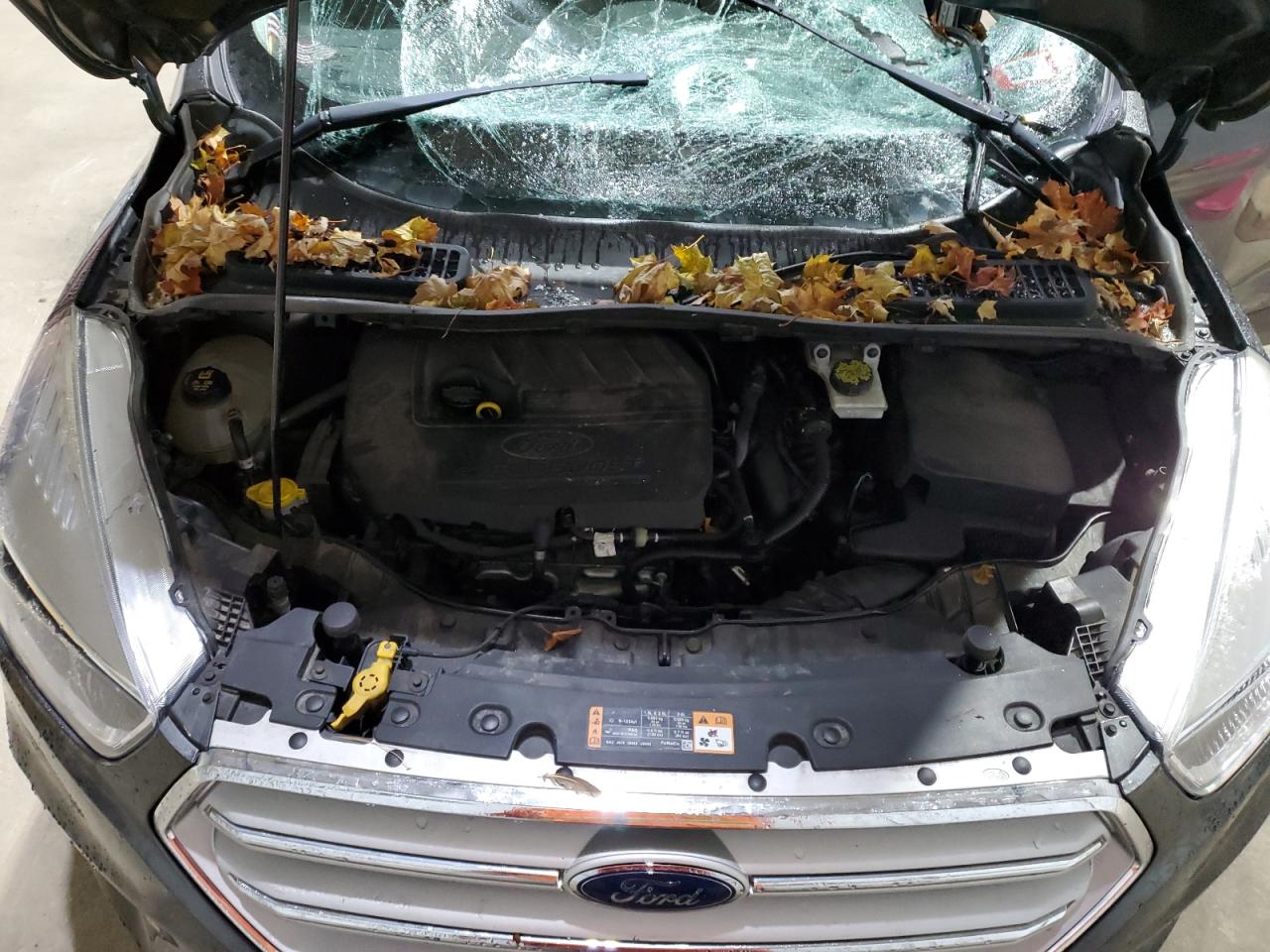 Ford Escape Se Image 11