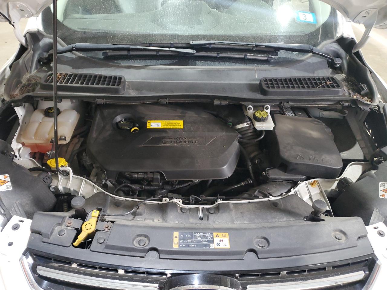 Ford Escape Titanium Image 7