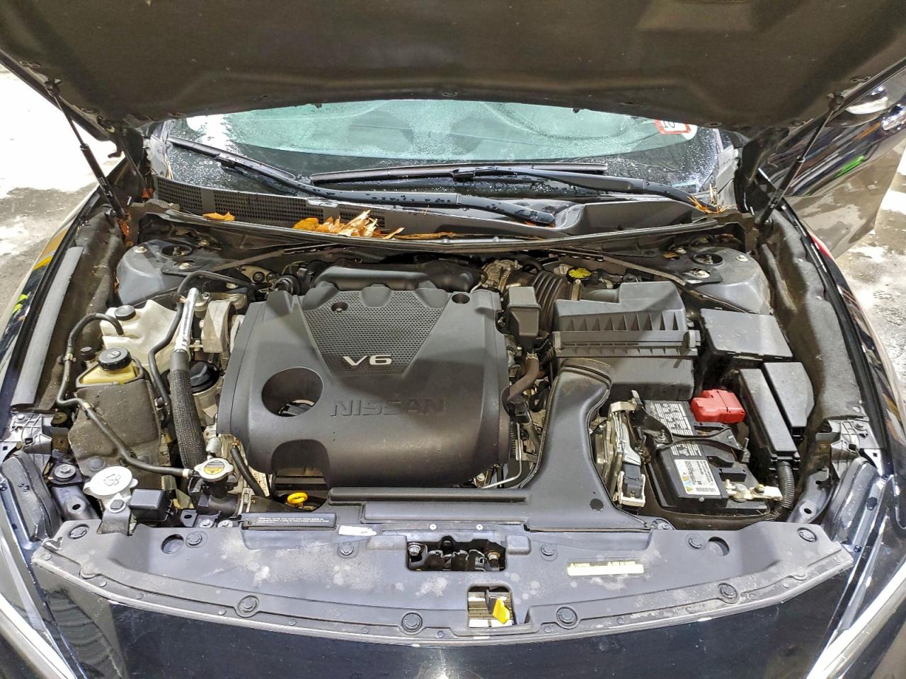 Nissan Maxima S Image 11