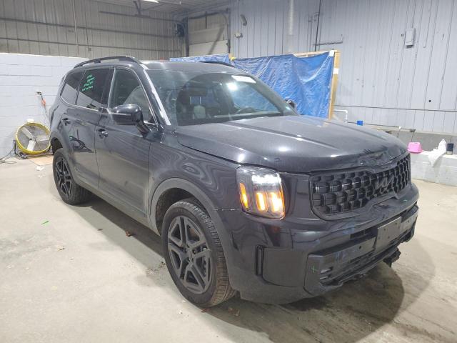 Kia Telluride Sx Image 3