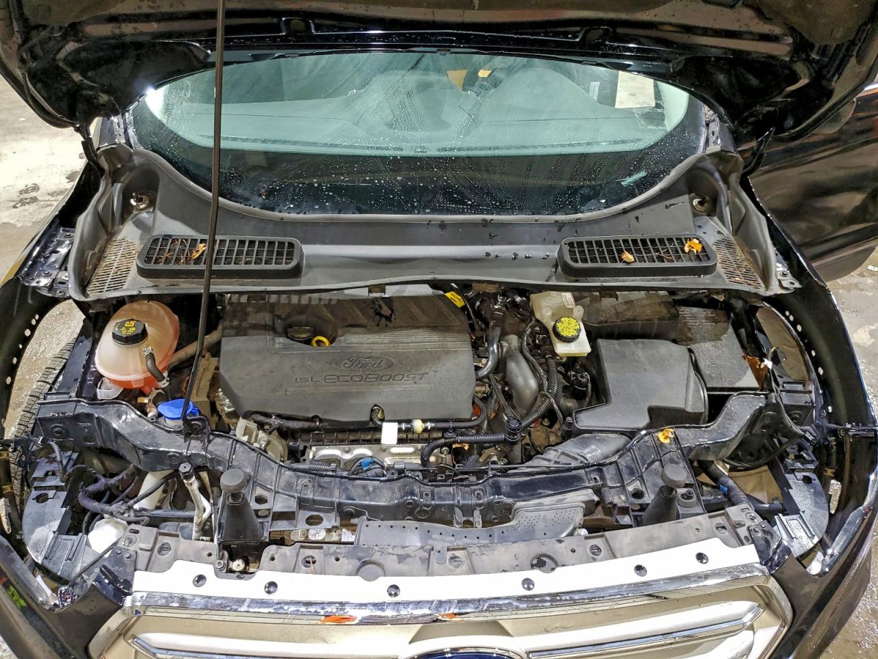 Ford Escape Se Image 12