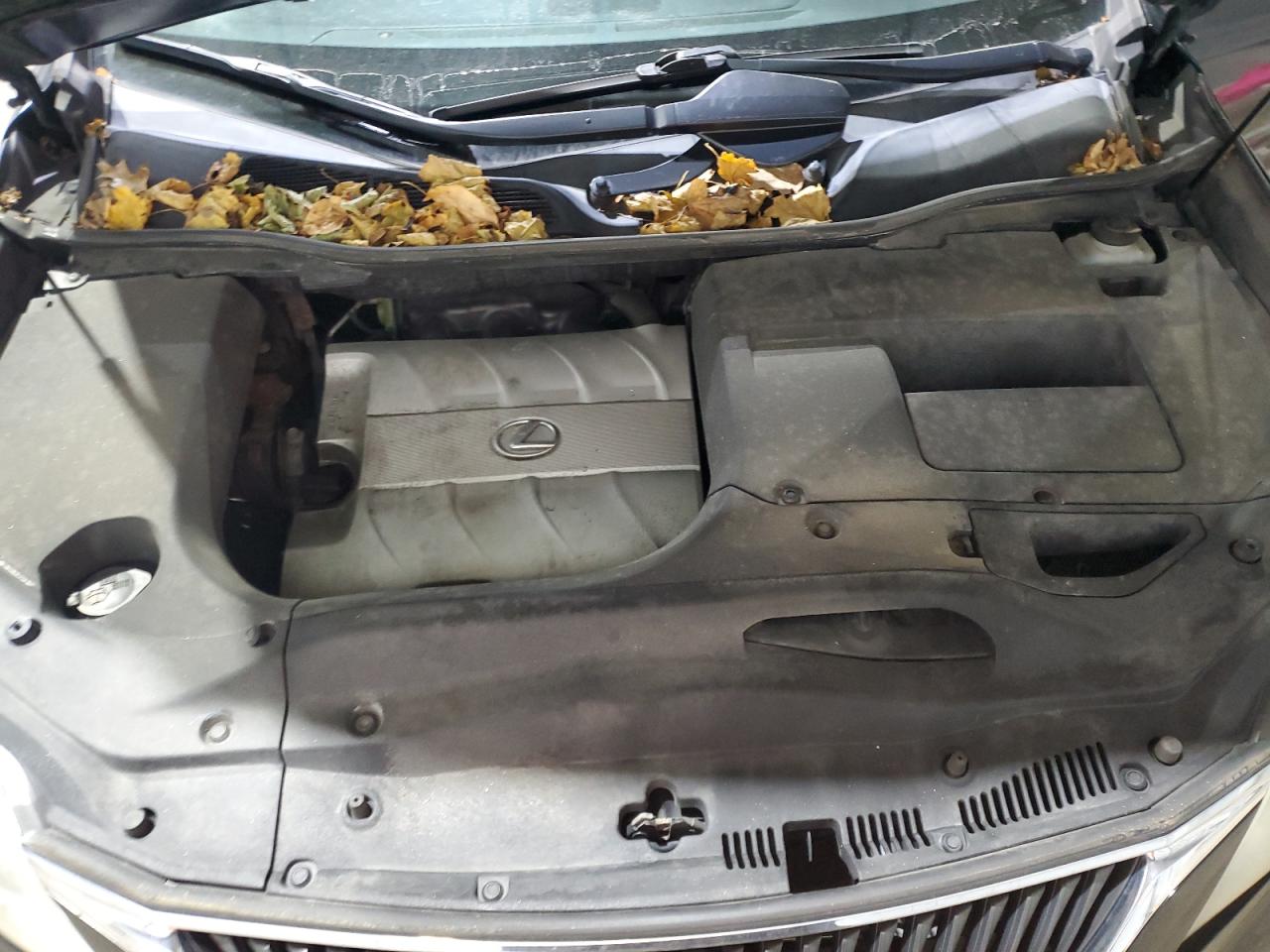 Lexus RX 350 Image 10