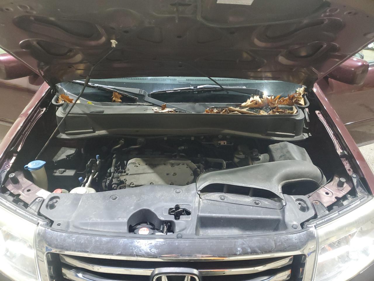 Honda Pilot Exl Image 13