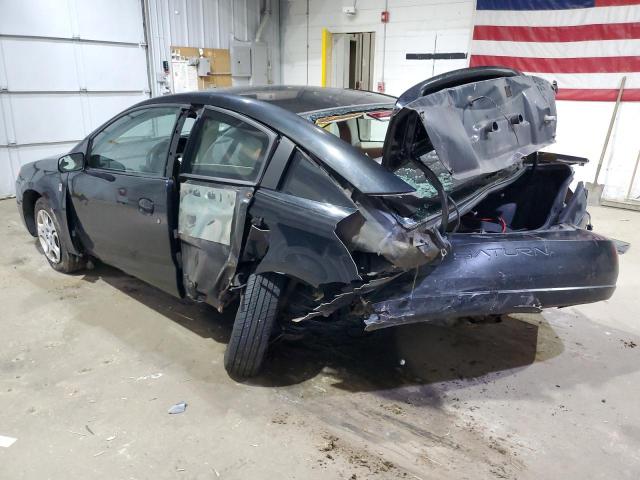 Saturn Ion Level 2 Image 5