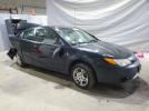 Saturn Ion Level 2 Image 10