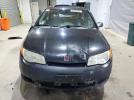 Saturn Ion Level 2 Image 11
