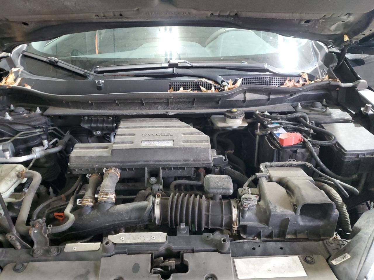 Honda Crv Ex Image 6