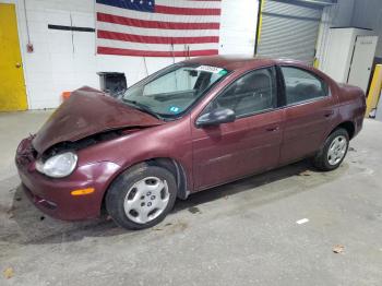  Salvage Dodge Neon