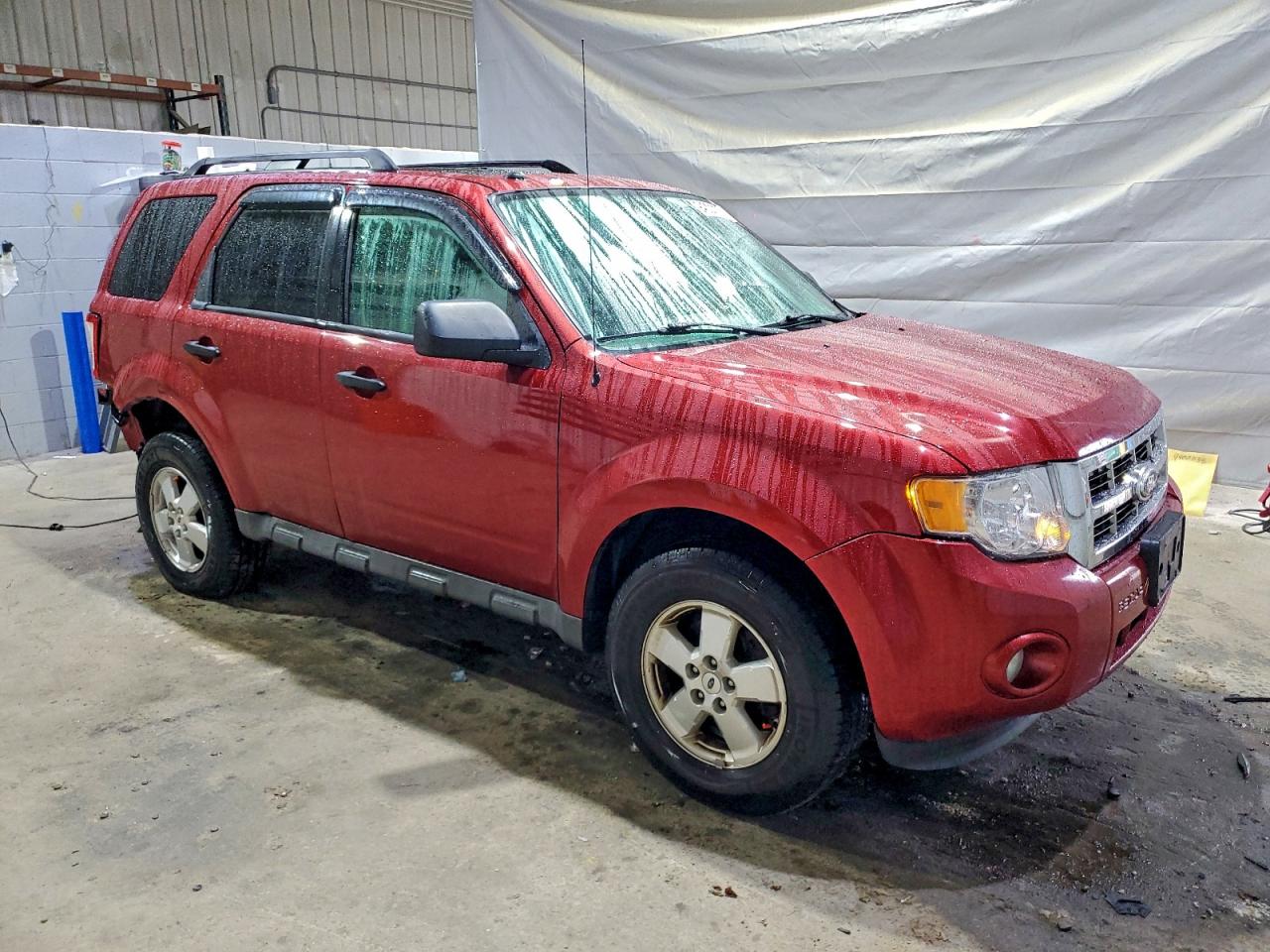Ford Escape Xlt Image 4