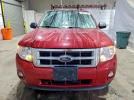 Ford Escape Xlt Image 8