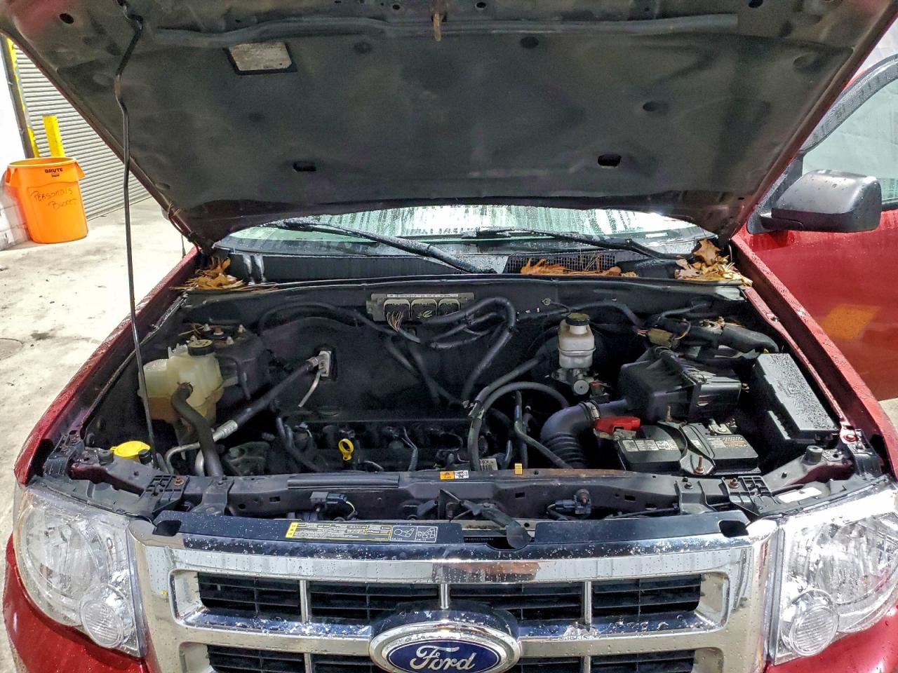 Ford Escape Xlt Image 10