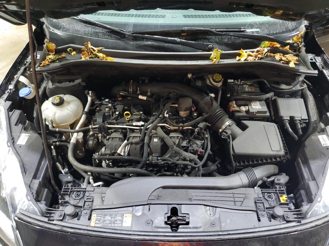 Ford Escape Titanium Image 10