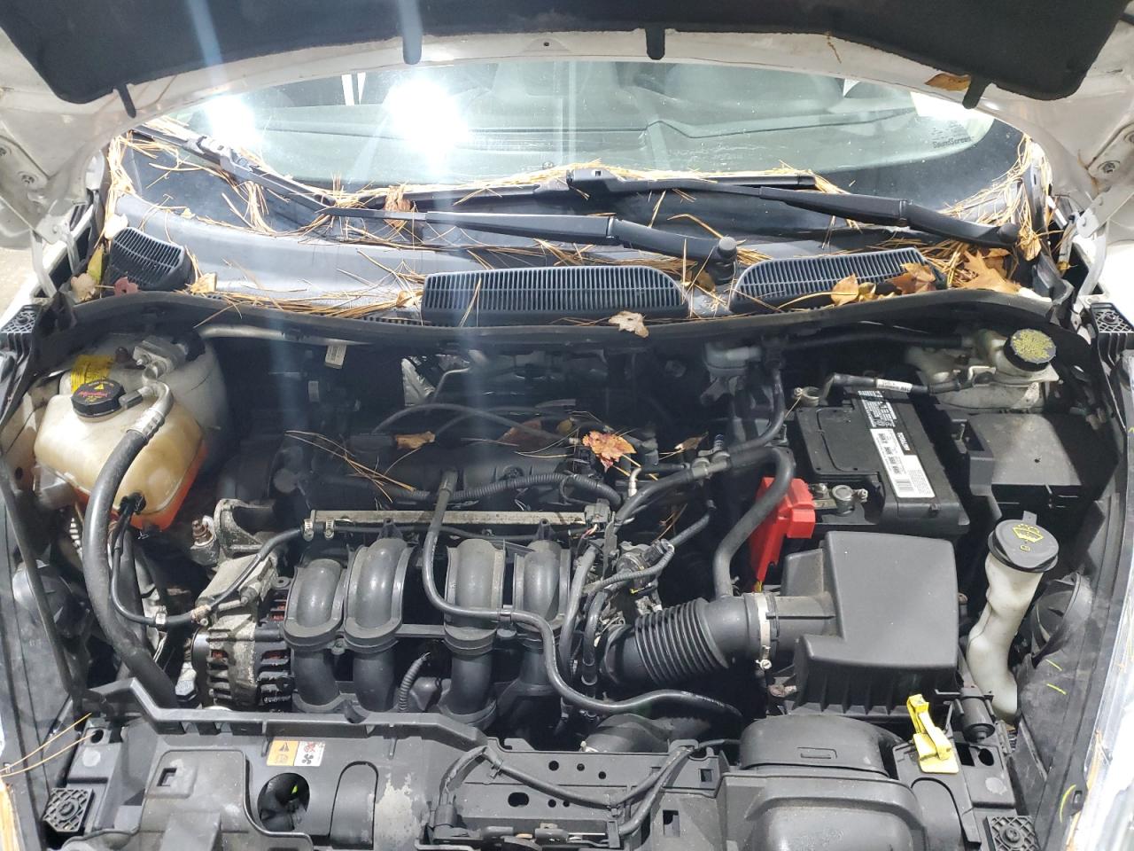 Ford Fiesta Se Image 7