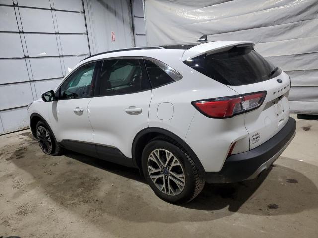 Ford Escape Sel Image 9