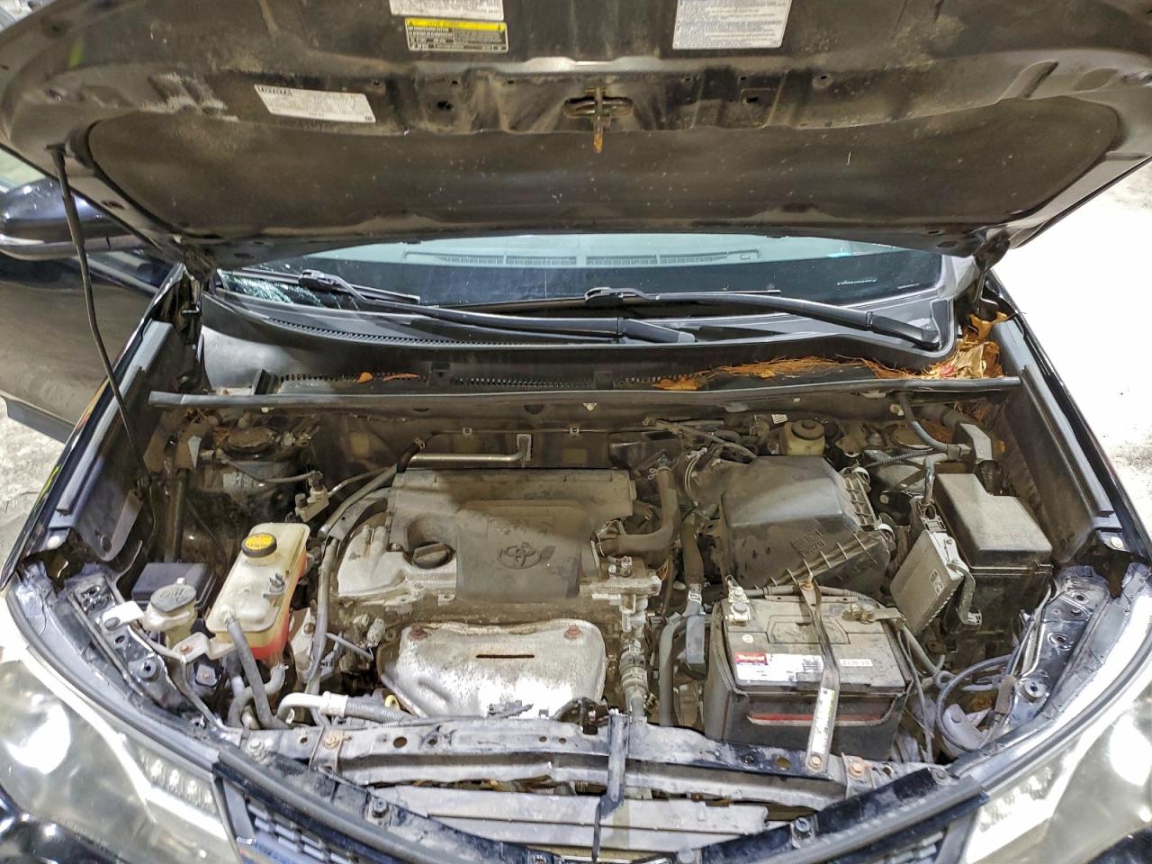 Toyota RAV4 Limited Image 2