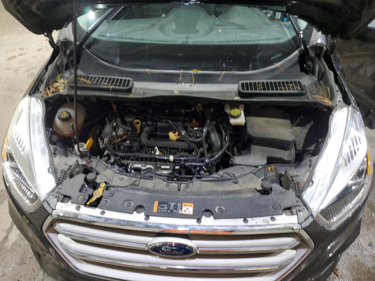 Ford Escape Sel Image 6