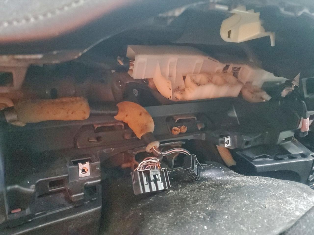 Toyota Corolla L Image 4