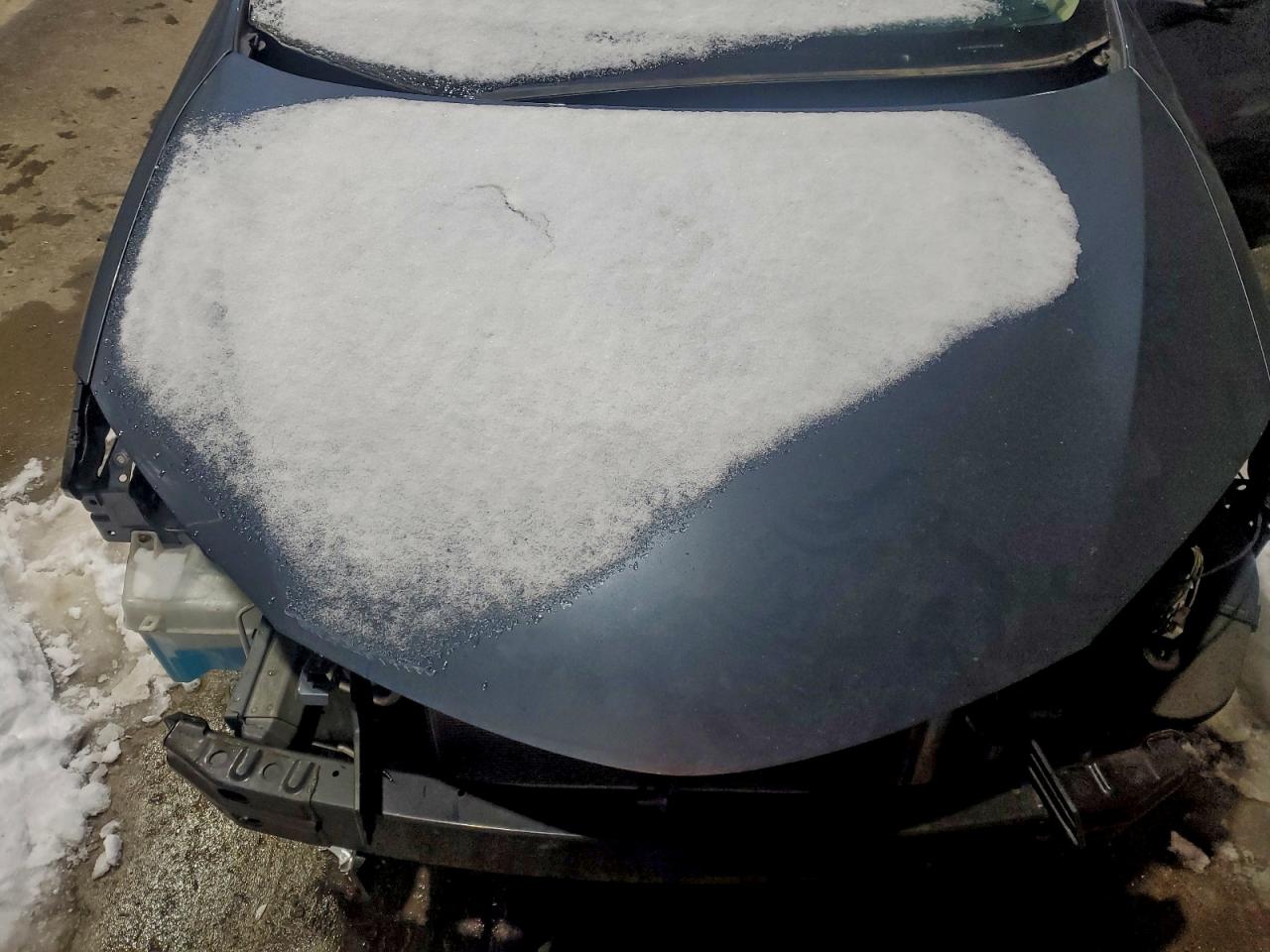 Toyota Corolla L Image 6