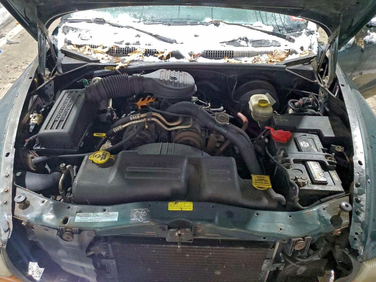 Dodge Dakota Quad Image 9