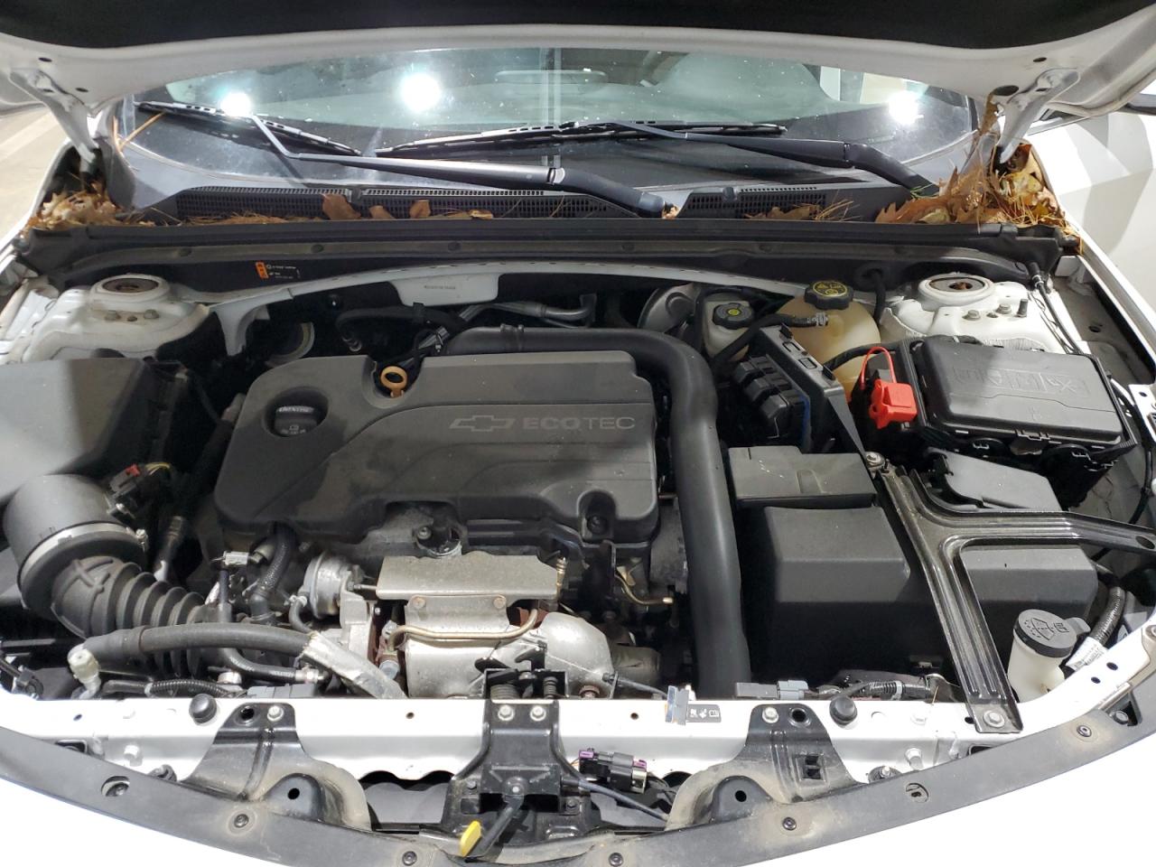 Chevrolet Malibu Lt Image 12