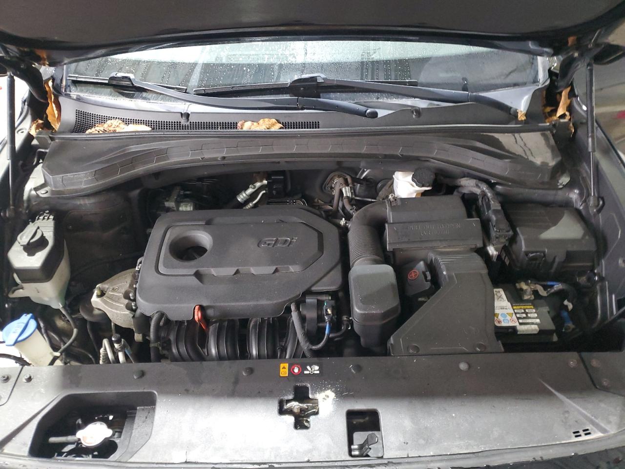 Hyundai SANTA FE Sel Image 12