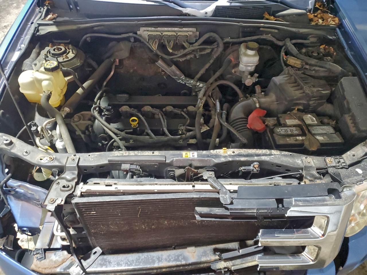 Ford Escape Xlt Image 10