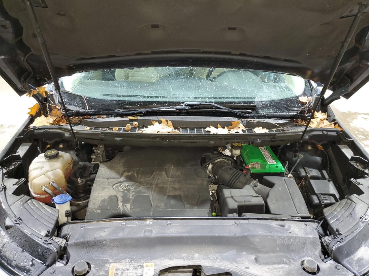 Ford Edge Sel Image 7