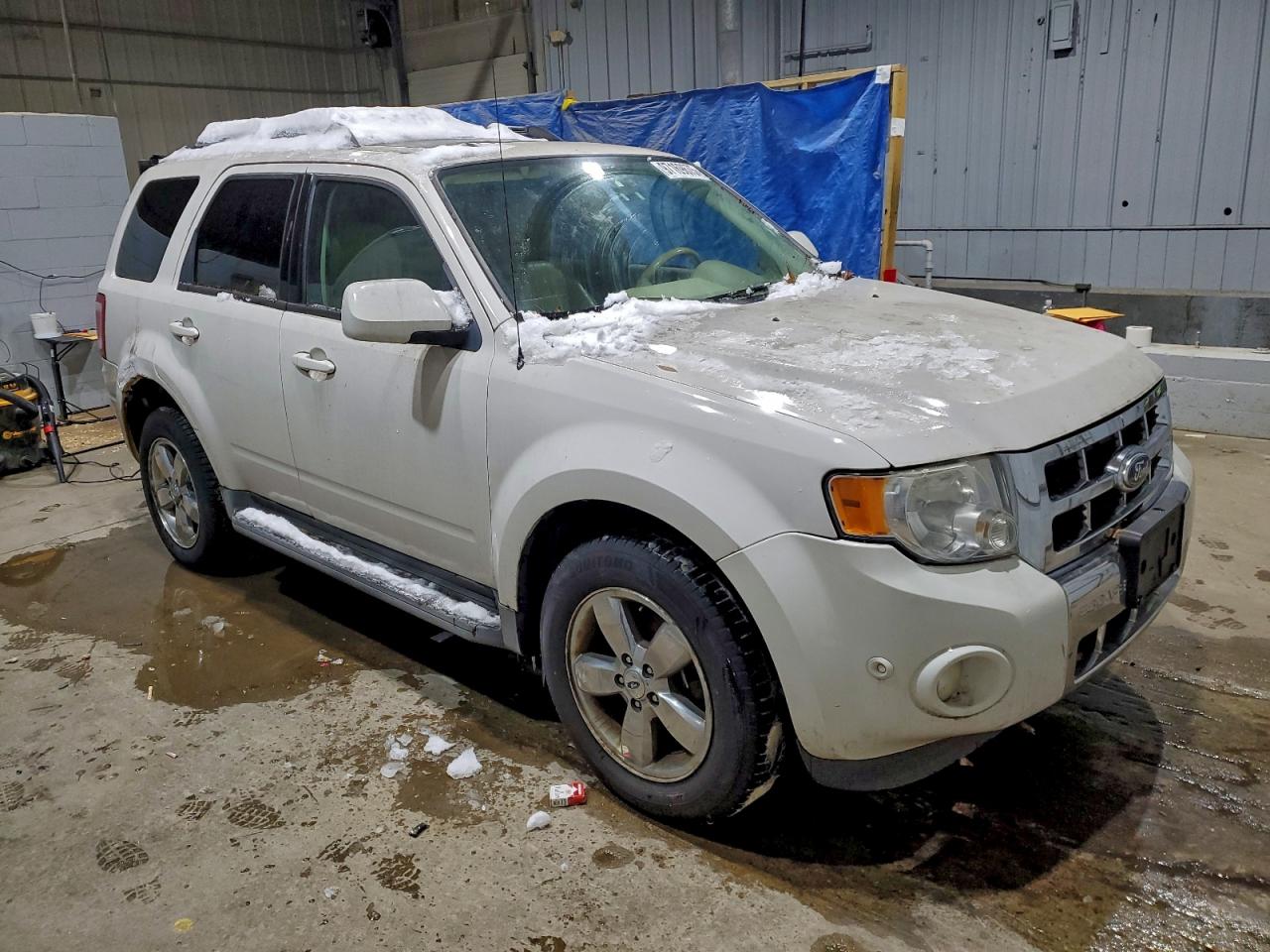 Ford Escape Limited Image 4