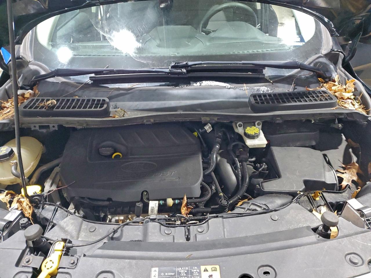 Ford Escape Se Image 10