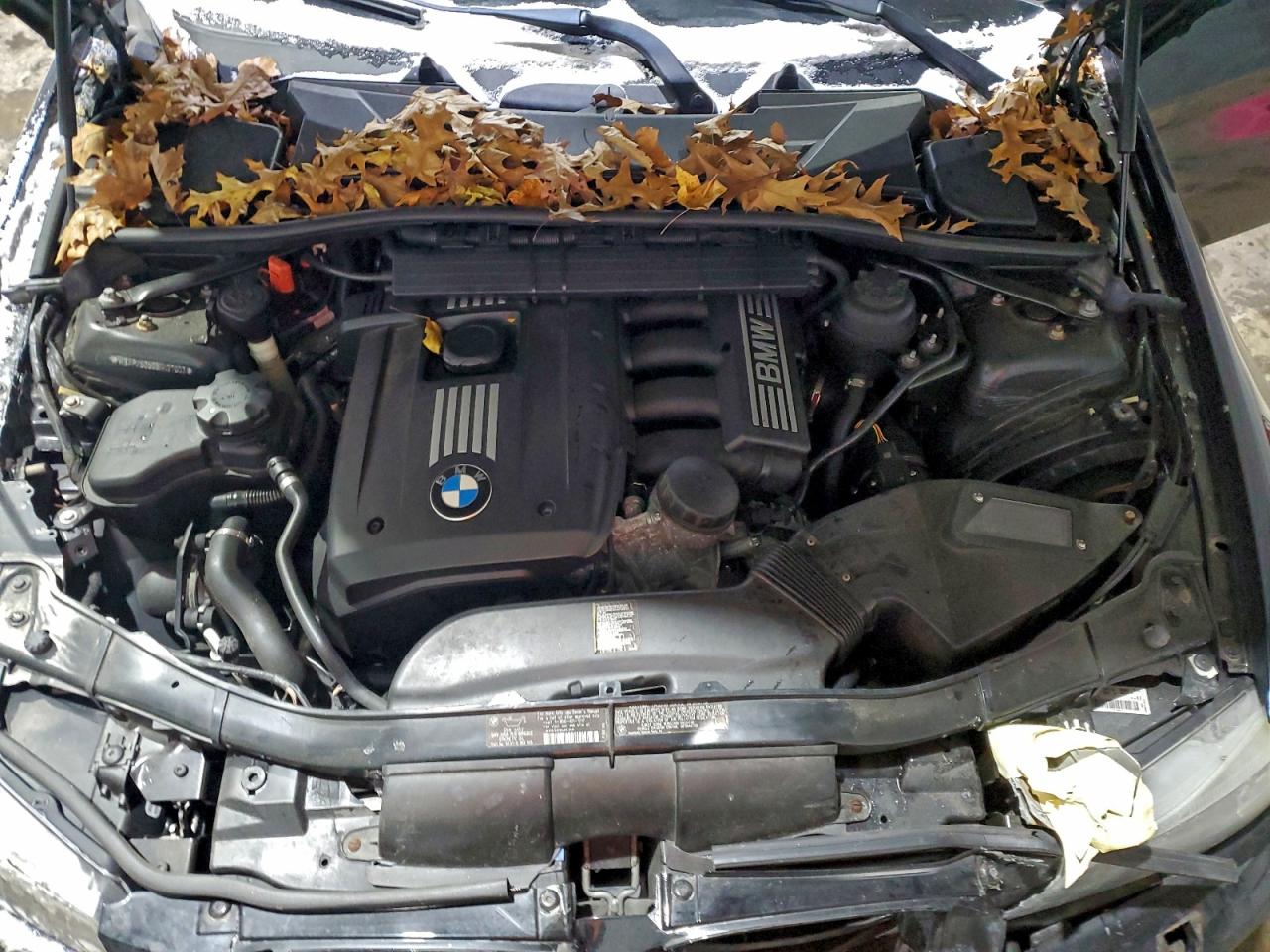 BMW 3 Series Xi Sulev Image 9