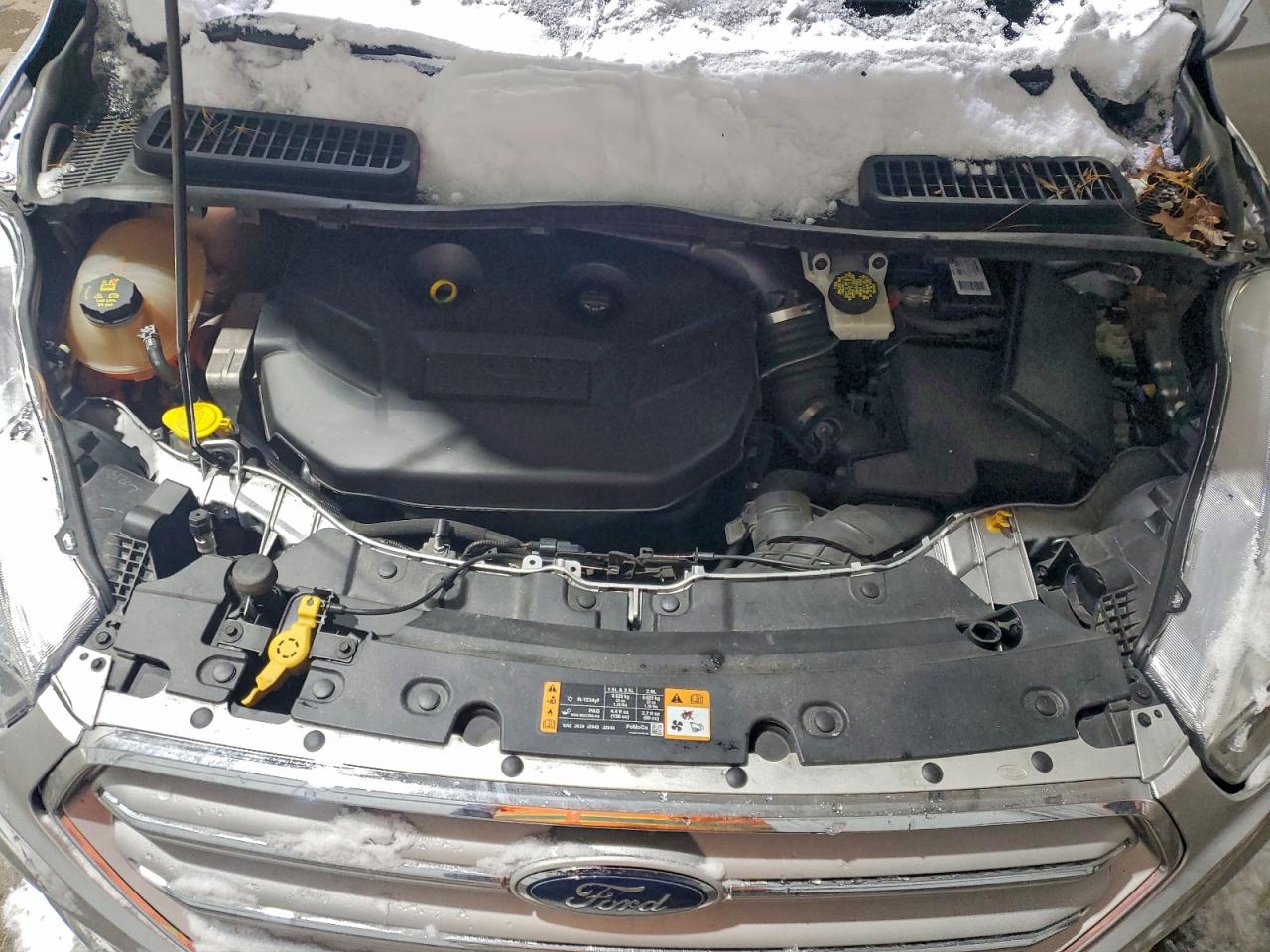 Ford Escape Se Image 7