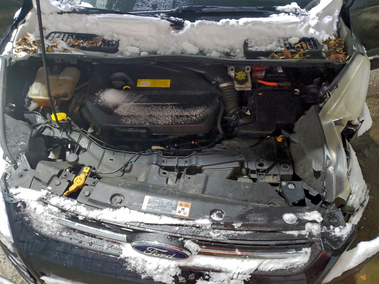 Ford Escape Se Image 11