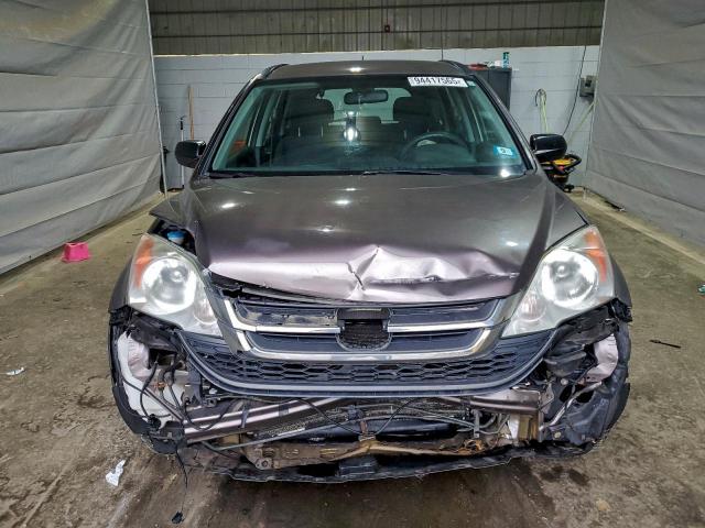 Honda Crv Lx Image 13