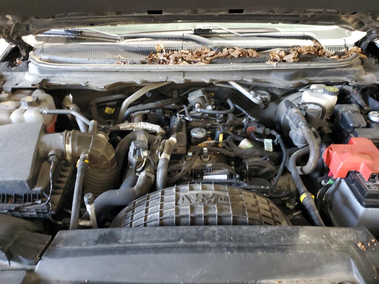 Ford Ranger Xl Image 12