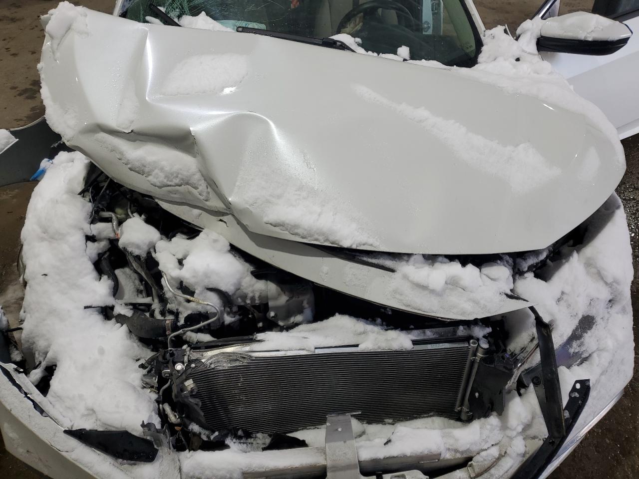 Honda Civic Ex Image 11