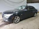 BMW 5 Series Xi Image 1