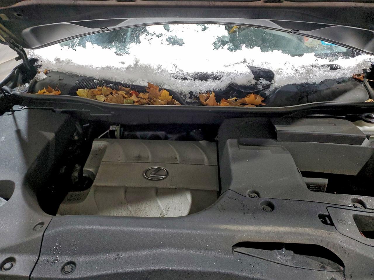 Lexus RX 350 Image 7