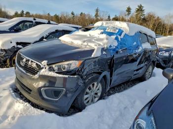  Salvage Kia Sorento