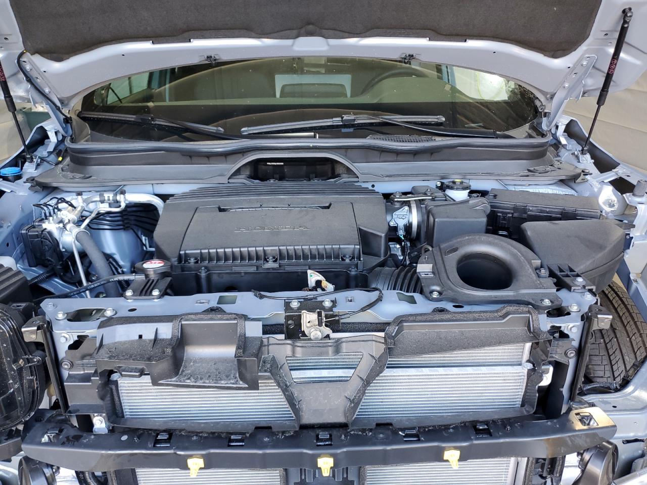 Honda Passport R Rtl Image 12