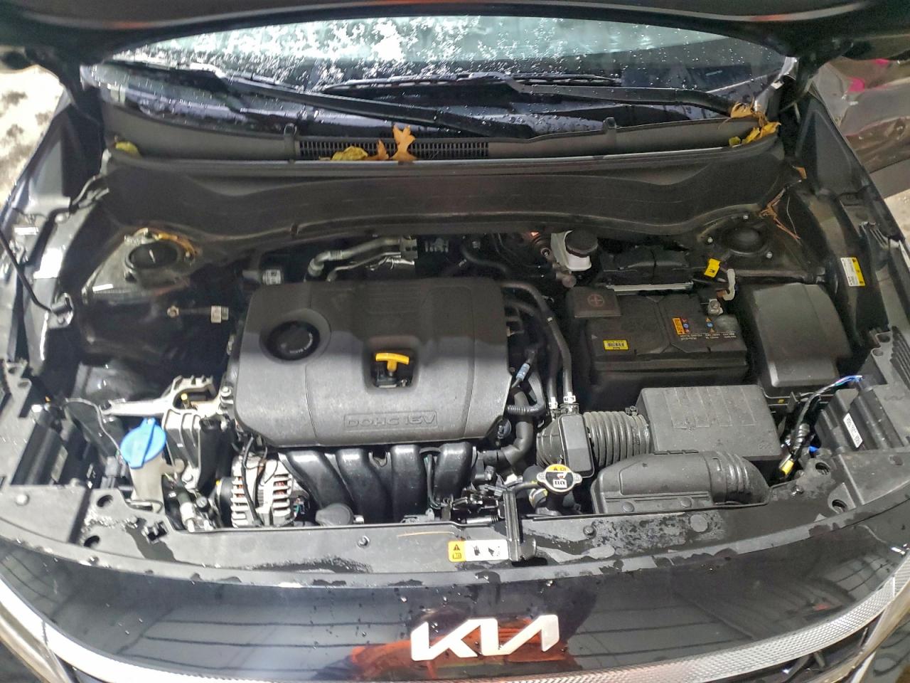 Kia Seltos S Image 9