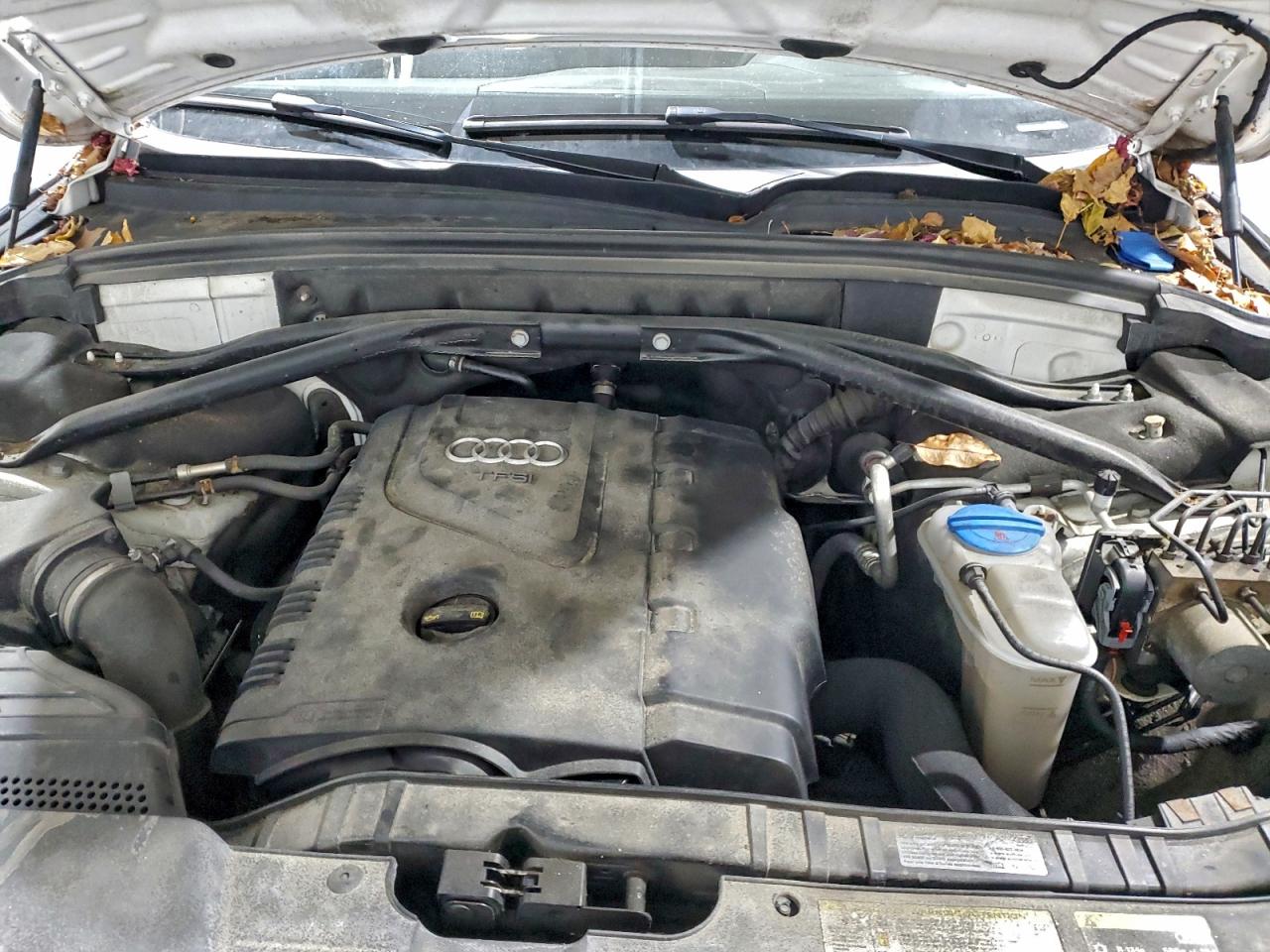 Audi Q5 Premium Image 10