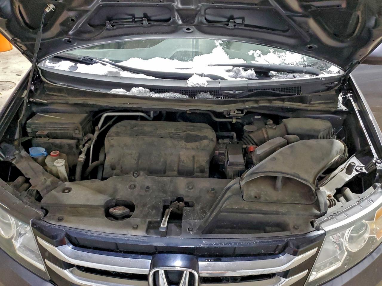 Honda Odyssey Exl Image 8