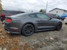 Ford Mustang Gt Image 11