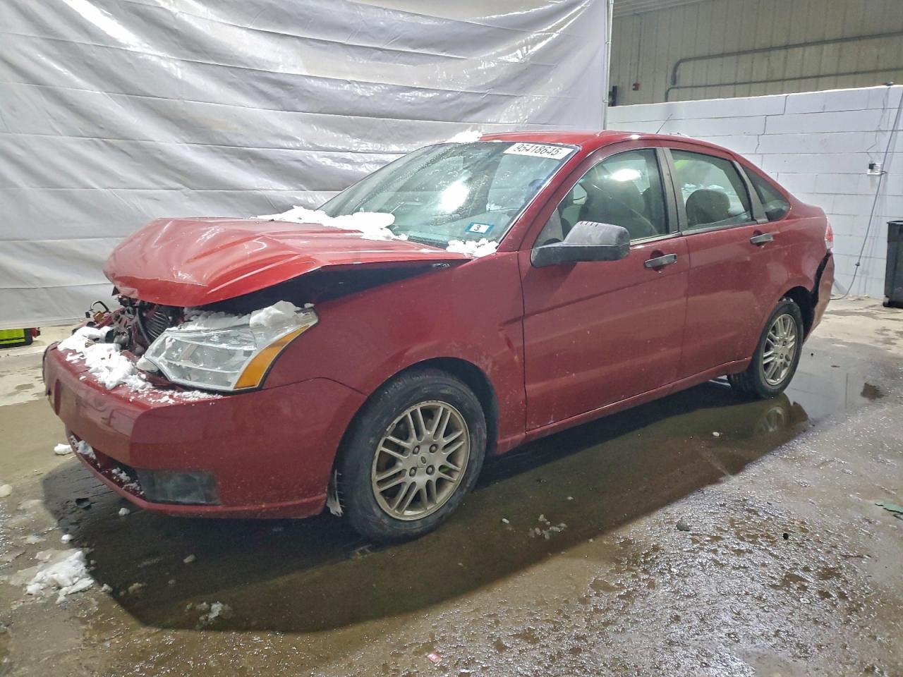 Ford Focus Se Image 1