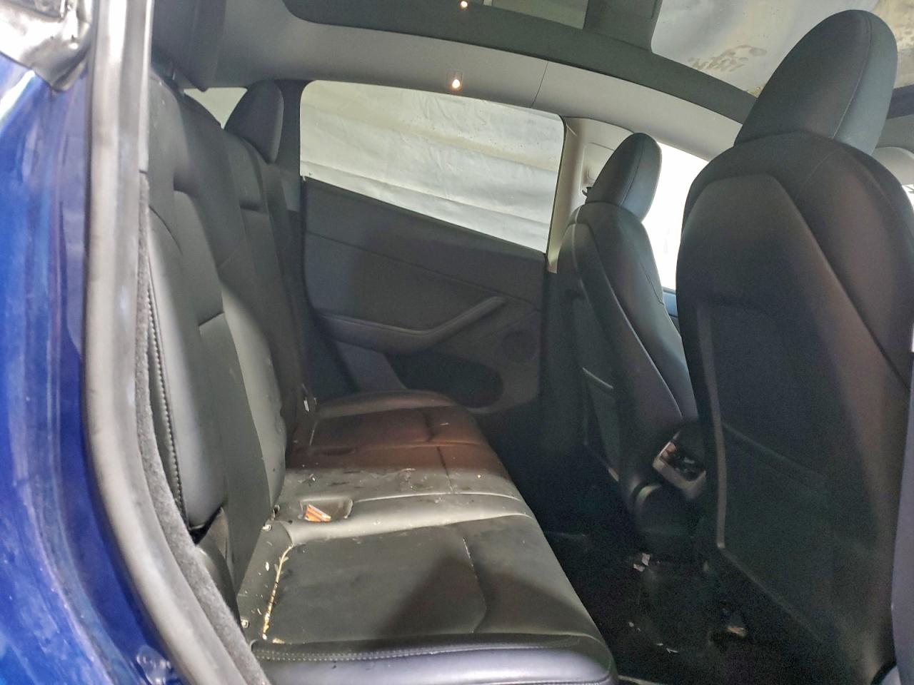 Tesla Model Y Image 5